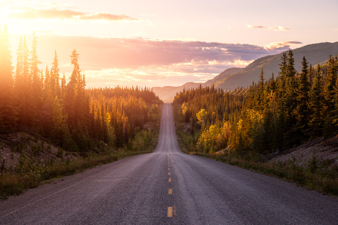 Scenic Road View